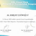 Resmi büyüt: certificate 13