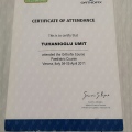 Resmi büyüt: certificate 12