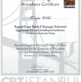 Resmi büyüt: certificate 2