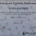 Resmi büyüt: certificate 5