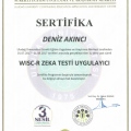 Resmi büyüt: certificate 18
