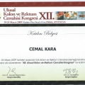 Resmi büyüt: certificate 17