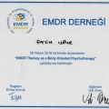 Resmi büyüt: certificate 8