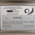 Resmi büyüt: certificate 4