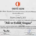 Resmi büyüt: certificate 17
