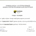 Resmi büyüt: certificate 6