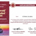 Resmi büyüt: certificate 8
