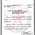 Resmi büyüt: certificate 22