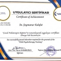Resmi büyüt: certificate 22