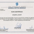 Resmi büyüt: certificate 8