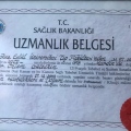 Resmi büyüt: certificate 8