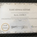 Resmi büyüt: certificate 12