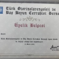 Resmi büyüt: certificate 1