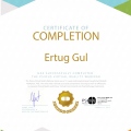 Resmi büyüt: certificate 1