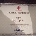 Resmi büyüt: certificate 20