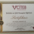 Resmi büyüt: certificate 7