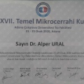 Resmi büyüt: certificate 2