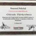 Resmi büyüt: certificate 20