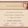 Resmi büyüt: certificate 20