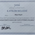 Resmi büyüt: certificate 11