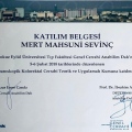 Resmi büyüt: certificate 22