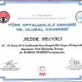 Resmi büyüt: certificate 2