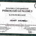 Resmi büyüt: certificate 20