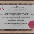 Resmi büyüt: certificate 4