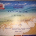 Resmi büyüt: certificate 8