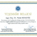 Resmi büyüt: certificate 6