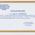 Resmi büyüt: certificate 26