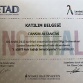 Resmi büyüt: certificate 7