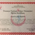 Resmi büyüt: certificate 1