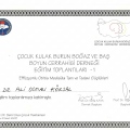 Resmi büyüt: certificate 20