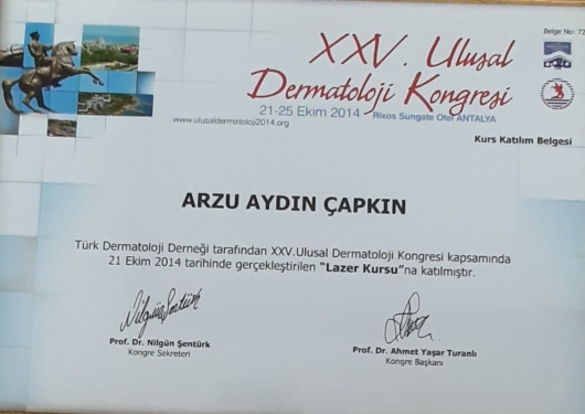 Arzu Aydın Çapkın-6