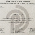 Resmi büyüt: certificate 15