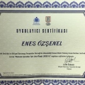Resmi büyüt: certificate 5