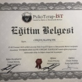 Resmi büyüt: certificate 13