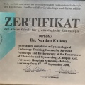 Resmi büyüt: certificate 8