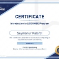 Resmi büyüt: certificate 26