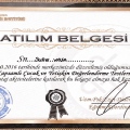 Resmi büyüt: certificate 1