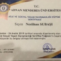 Resmi büyüt: certificate 9