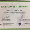 Resmi büyüt: certificate 16