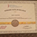 Resmi büyüt: certificate 2