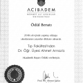 Resmi büyüt: certificate 2