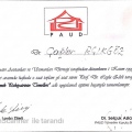 Resmi büyüt: certificate 12