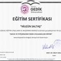 Resmi büyüt: certificate 3