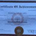 Resmi büyüt: certificate 4