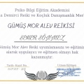 Resmi büyüt: certificate 24