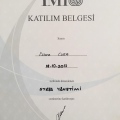 Resmi büyüt: certificate 13